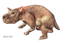 Diprotodon