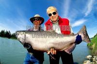 King Salmon fishing Kenai River , Alaska stock photo