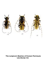 애기우단하늘소 - Acalolepta degener