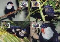 Aitutaki Tahitian Blue Lorikeet Set of 4 official Maxicards