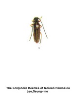 먹국화하늘소 - Phytoecia icterica