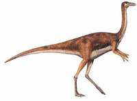 Gallimimus