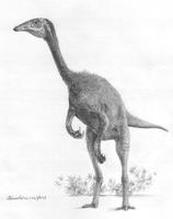 Deinocheirus mirificus