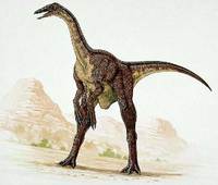Deinocheirus