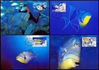 Barbados Queen Triggerfish Set of 4 official Maxicards