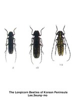 초원하늘소 - Agapanthia villosoviridescens