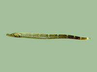 Phoxocampus diacanthus, Spined pipefish: