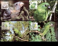 Jamaica Black-billed Amazon Set of 4 official Maxicards