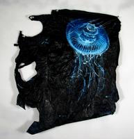 Bell Jellyfish III