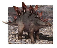 Stegosaurus