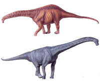 Sauropod Collection - 2 Figure Set