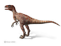 Dromaeosaurus