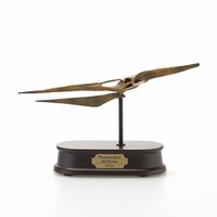 Pteranodon Skull - Brown