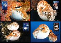 Palau Chambered Nautilus Set of 4 official Maxicards
