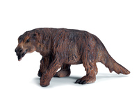 Giant Ground Sloth (Megatherium)