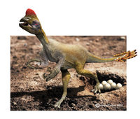 Oviraptor