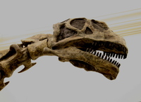 Epachthosaurus sciuttoi