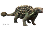 Ankylosaurus