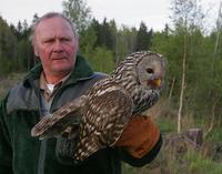 Ural Owl (Strix uralensis)