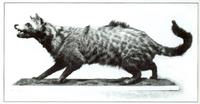 사향쥐(Ondatra zibethicus L.; musk rat) 의 향성분은 11가지의 케톤으로 이루어져 있는데, 이중에는 16 원자 고리의 케톤 화합물과 엑살톤 35가 ...