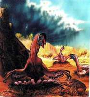 Oviraptor