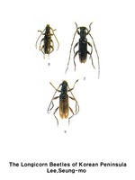 섬하늘소 - Ceresium longicorne