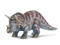 Triceratops