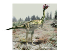 Gallimimus