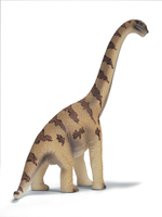 Brachiosaurus