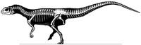 Szechuanosaurus campi