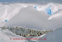 FT0104-00: Emperor penguins rest and preen in a sheltered bowl between fantastic snow cornices. ...