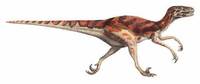 Dromaeosaurus