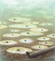 Image of: Centrarchidae (sunfish and sunfishes)