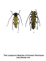 노란팔점긴하늘소 - Saperda tetrastigma