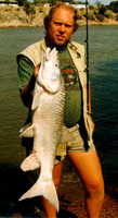 Labeobarbus kimberleyensis, Largemouth yellowfish: aquaculture, gamefish