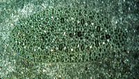 Pardachirus marmoratus, Finless sole: fisheries