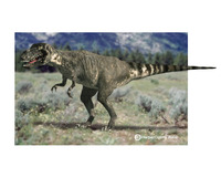 Nannotyrannus