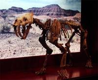 Smilodon populator - Devastating Smilodon