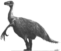 Erlikosaurus