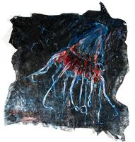 Scyphozoan Jellyfish