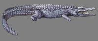 Image of: Crocodylus palustris (mugger)