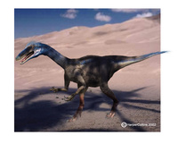 Troodon