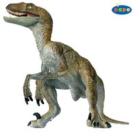 Velociraptor