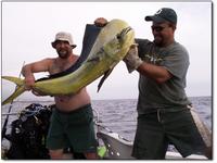 Mahi Mahi