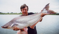 Pangasianodon hypophthalmus, Sutchi catfish: fisheries, aquaculture, aquarium