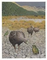 Martinson, Paul  	artist  	2004