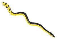 Image of: Pelamis platurus (yellow-bellied sea snake)