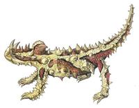 Image of: Moloch horridus