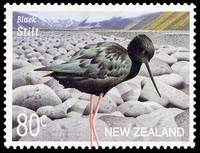 Black stilt stamp