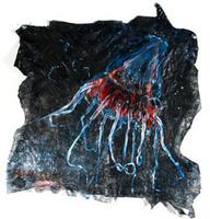 Scyphozoan Jellyfish